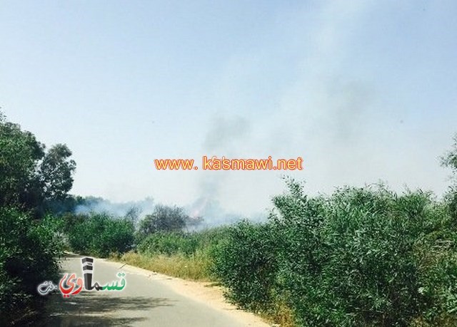 فيديو: الحرائق تزداد  واسرائيل تشتعل : حريق في الناقورة واخلاء مدرسة في كرمئيل